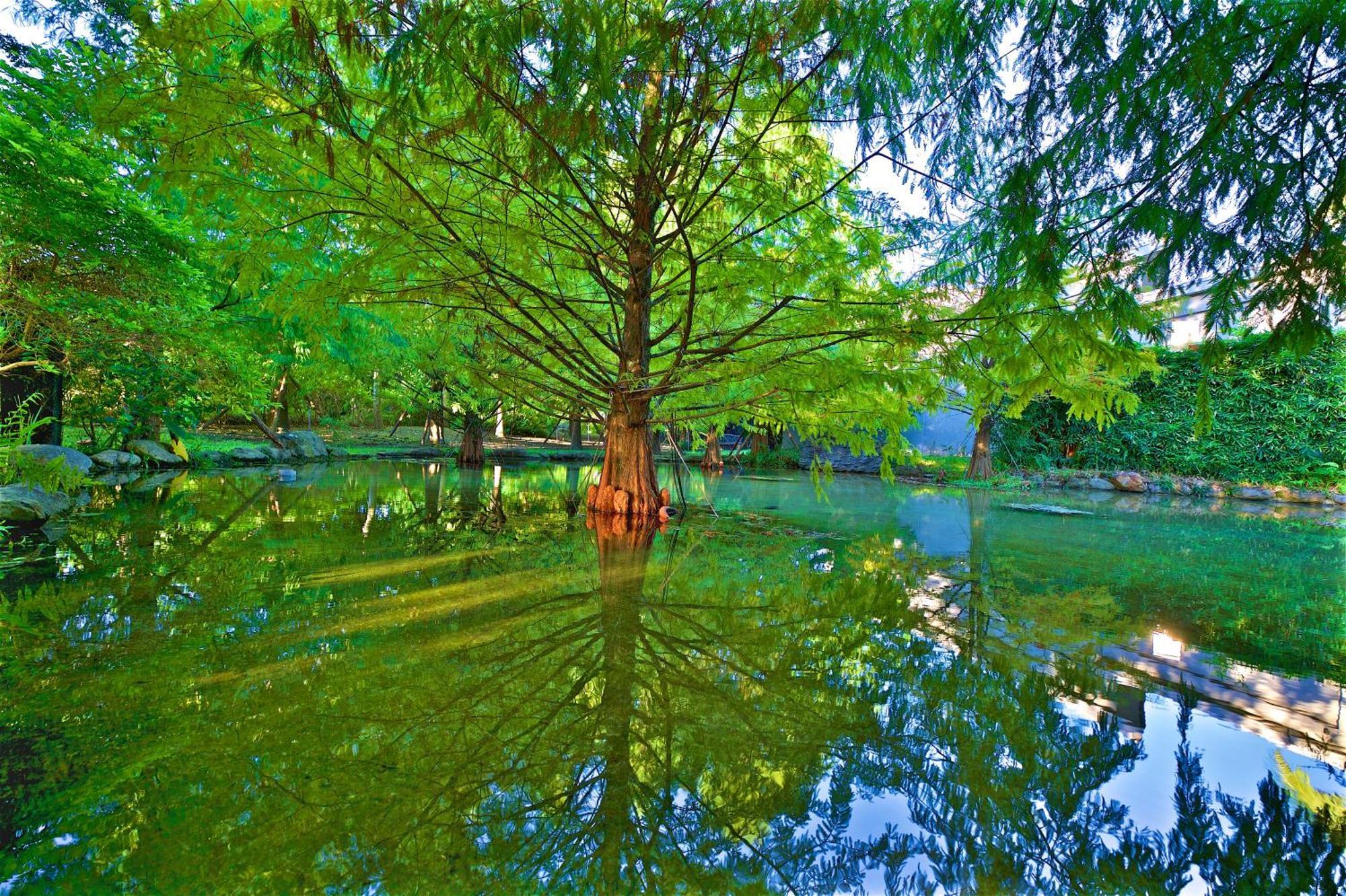 Gaeavilla Resort จี๋อัน ภายนอก รูปภาพ